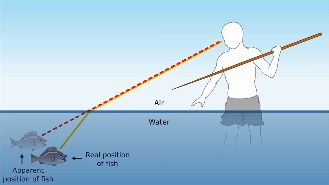 Refraction causing misperception of fish position when spearfishing